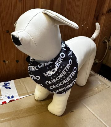 Repeat Pattern Dog Bandana